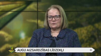 Kāpēc bija brīdinājums mazdārziņos nelietot līdzekļus “Neostomazāns” un “Cobra”?