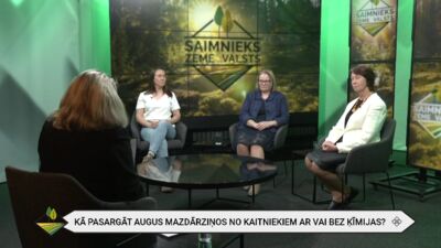 Kā pasargāt augus mazdārziņos no kaitniekiem, ar vai bez ķīmijas?