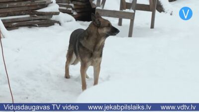 11.02.2026 Jēkabpils laiks