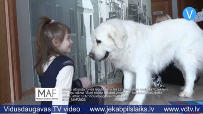 Suņi palīdz uzlabot veselību – kanisterapijas spēks