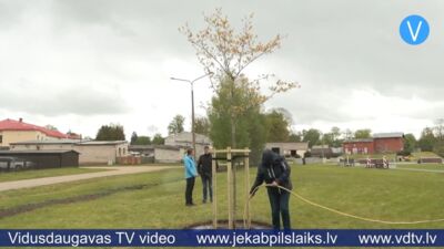 Latvijas notāri Jēkabpilī aizsāk koku stādīšanas tradīciju reģionos