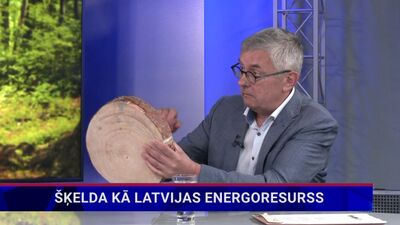 "Latvijas valsts meži” pārstāvis par šķeldu kā energoresursu