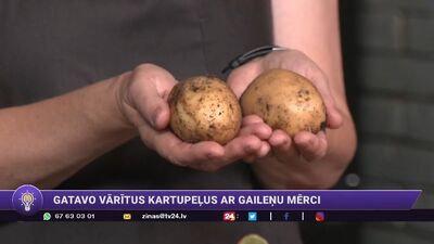 Anitra Tooma: Permakultūras kartupeļi - īsta sliņķu metode!