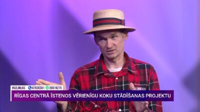 Lielākā daļa cilvēku apgriež kokus nepareizi. Kā to darīt, lai nekaitētu kokam?