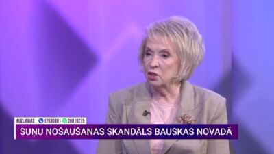 Kā rīkoties, ja pagalmā ieklīst suns?