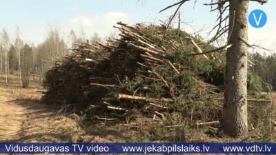 Tauta ziņo: Sēlpils pagastā nocirstas jaunaudzes