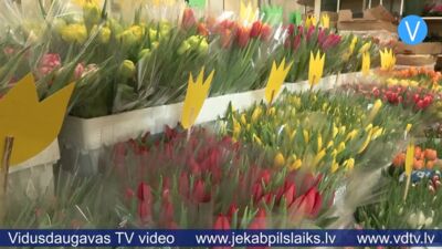 Ziedu dāvināšana – joprojām populāra 8. marta tradīcija