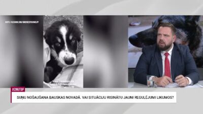 Vitenbergs: Šos dzīvniekus varēja izglābt un situāciju risināt savādāk