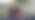 Māti un meitu Jēkabpilī vieno ziedu pasaule